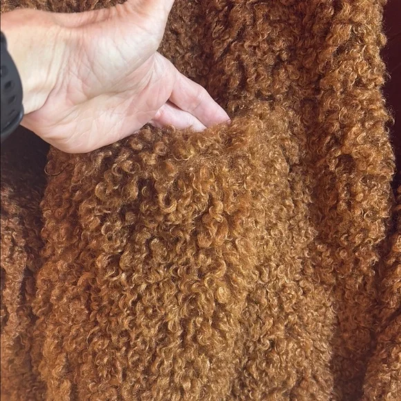 Cozy Brown Teddy Coat, S, NWOT - Picture 3 of 5